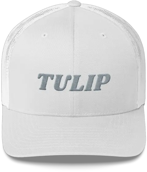 Doctrines Of Grace Trucker Cap Baseball Cap Png Backwards Hat Png