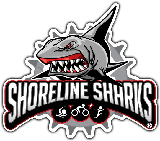 Shorline Sharks Shark Racing Logo Png Shark Logo Png