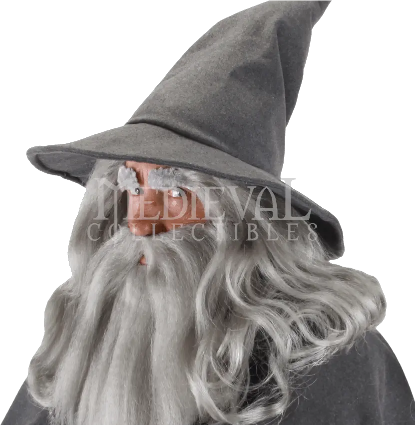 Gandalf Hat Transparent Hq Png Image Gandalf Hat Witch Hat Transparent Background