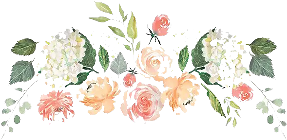 Free Watercolor Pink Magnolia Png Hoja Con Lineas Decorada Magnolia Png