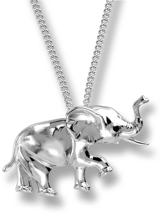 Nicole Barr Designs Sterling Silver Elephant Necklace Locket Png Elephant Transparent Background