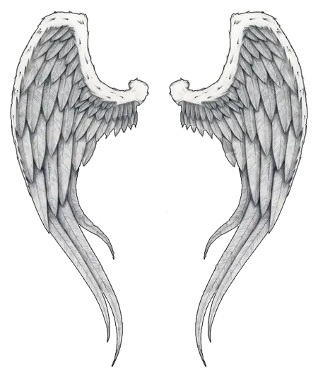 Download Wings Tattoos Free Png Transparent Image And Clipart Transparent Background Angel Wings Clip Art Wing Png