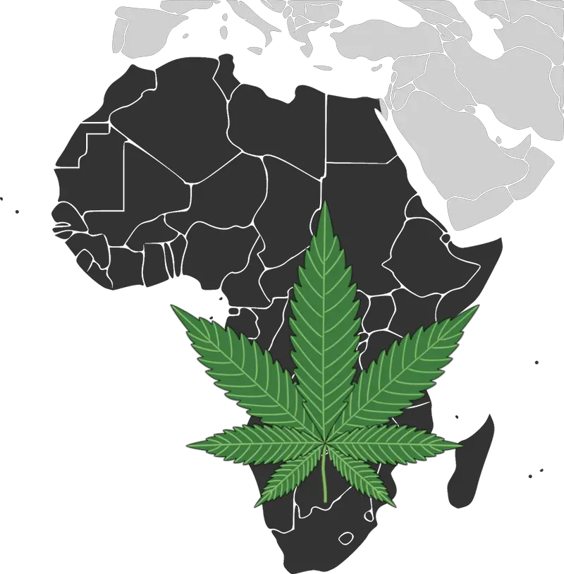 The South African Dagga Industry Could Be Worth R27 Billion African Continent Png Marijuana Leaf Transparent