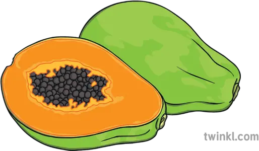 Papaya Fruit Indonesian Food Languages Superfood Png Papaya Icon