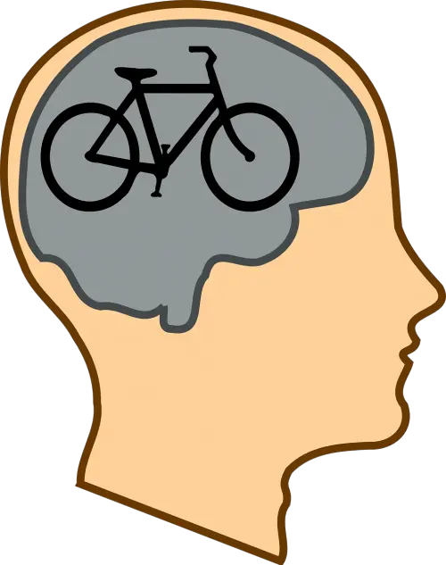 Brain Mind Clipart Brain Clipart Png