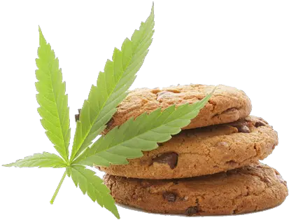 Weed Cannabis Lead And Cookies Edible Cbd Png Weed Transparent Background