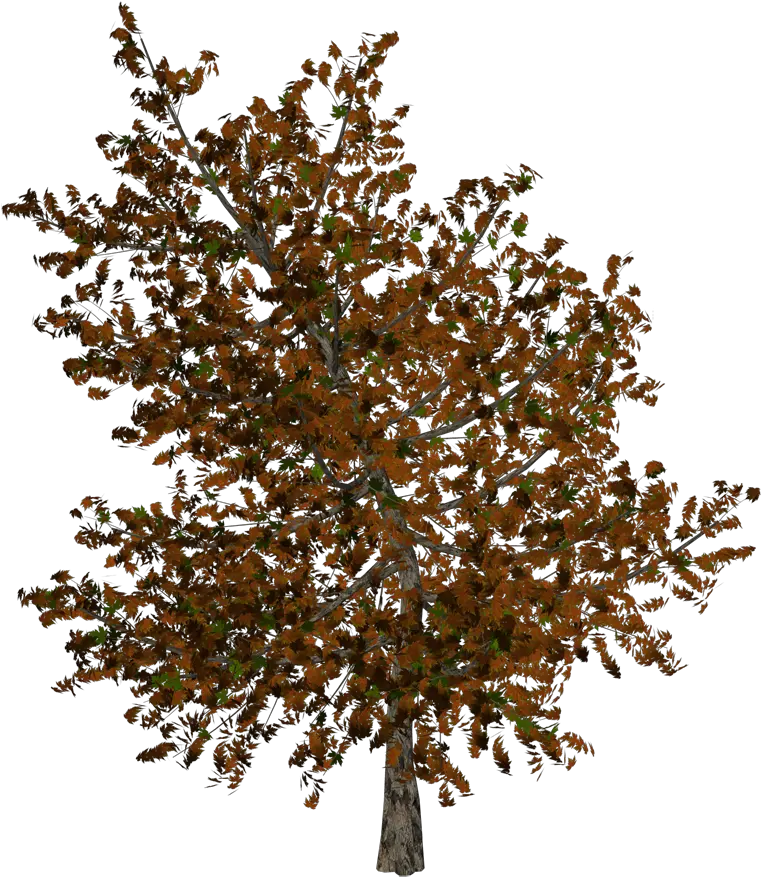 Print Photos Fall Bush Png Transparent Full Size Png Autumn Bush Png Bush Png