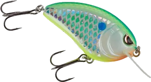 Cashion Fishing Rods Home Fish Hook Png Fishing Hook Png png