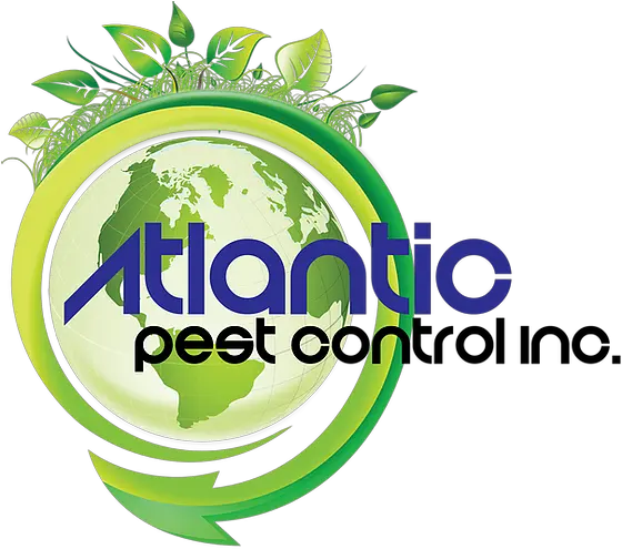 Atlantic Pest Control 100 Nontoxic Ecology Png Non Toxic Icon