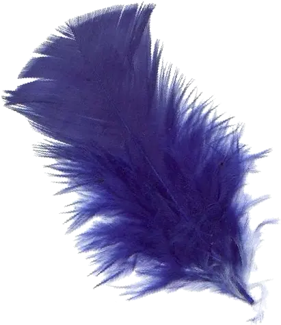 Png Background Pluma Azul Png Feather Transparent