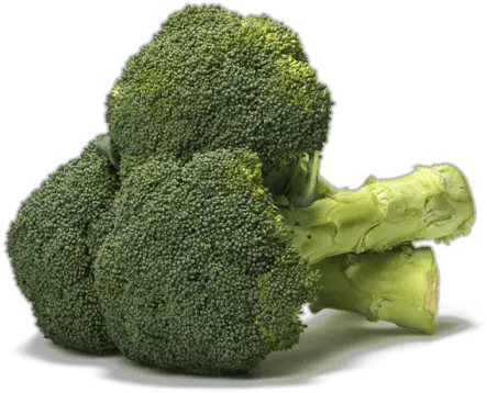 Organic Broccoli 1 Lb U2013 Checklistmv Broccoli Png Broccoli Png
