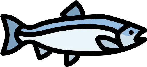 Salmon Png Icon Salmon Fish Icon Png Salmon Png