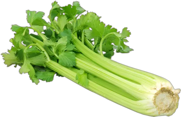 Celery Green Vegetables Full Size Png Download Seekpng Green Vegetables Celery Png