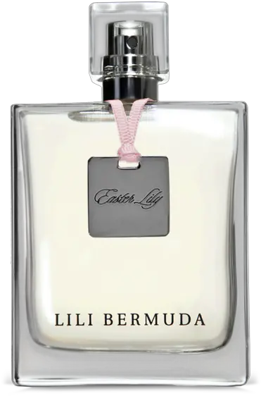 Easter Lily Eau De Parfum Lili Bermuda Sunkiss Perfume Png Easter Lily Png