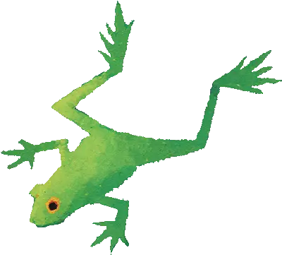 Index Of Mediaimagesindexcharacters Gecko Png Frog Png