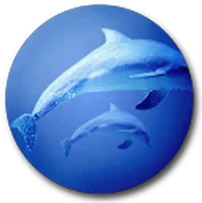 Dolphin Icon Gnomelookorg Common Bottlenose Dolphin Png Dolphin Icon