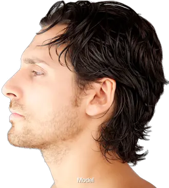 Free Men Hairstyle Images Download Png Lace Wig Men Hair Png
