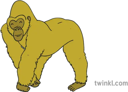 Gold Gorilla Illustration Twinkl Black And White Showing Bad Behaviour Png Gorilla Png