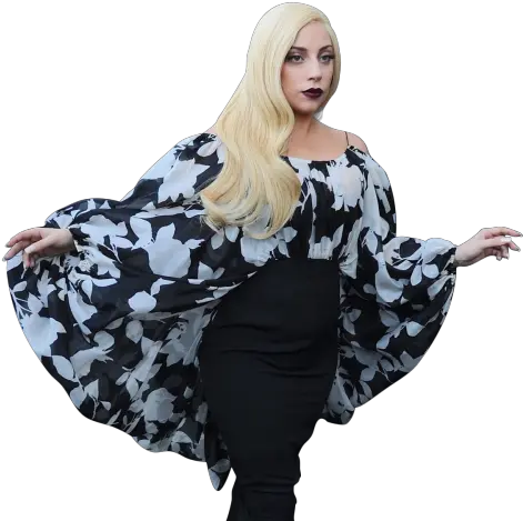 Lady Gaga Png Image Girl Lady Gaga Png