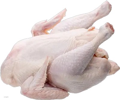 Frozen Turkey Broiler Chicken Skin Png Turkey Png