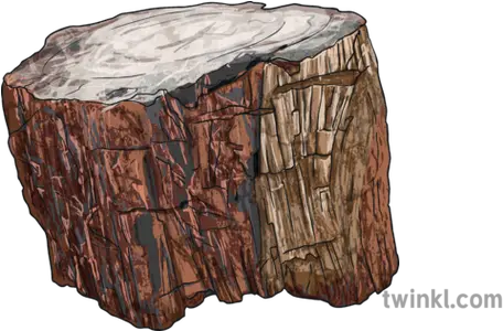 Petrified Wood Fossil Stone Tree Bark Petrified Wood Tree Bark Png Tree Bark Png png