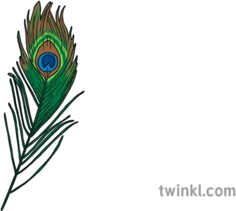 Ks1 Peacock Feather Illustration Twinkl Emblem Png Peacock Feathers Png