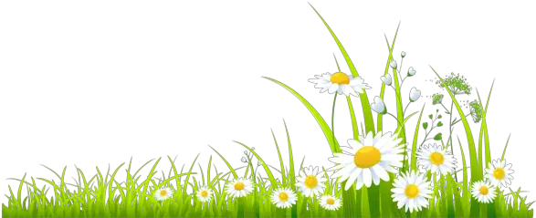 Spring Computer Grass Meadow For Easter Spring Clipart Transparent Png Easter Grass Png