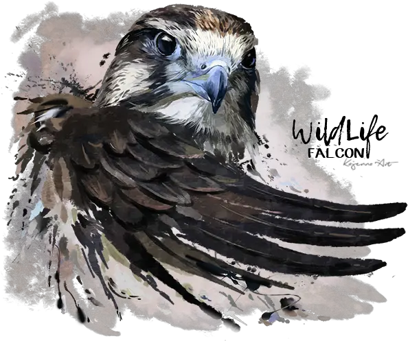 Falcon Png Transparent Image Peregrine Falcon Falcon Tattoo Falcon Png