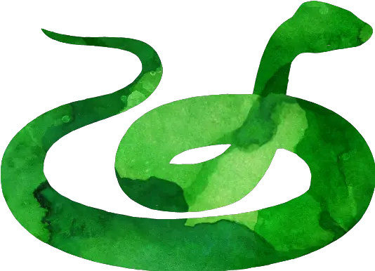 15 Slytherin Transparent Snake For Free Slytherin Snake Transparent Png Slytherin Png