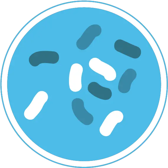Bacteria Png Bacteria Icon Png Bacteria Transparent Background