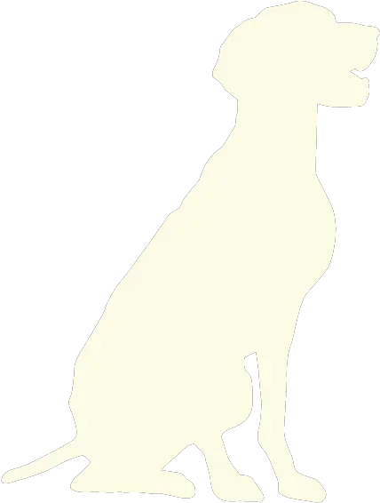 Newberg Veterinary Hospital Dog Png Platinum Cats Vs Dogs Icon