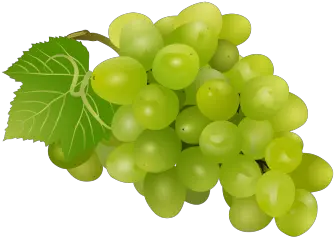 Grapes Clipart Angoor Fruit Png Images Hd Grapes Png