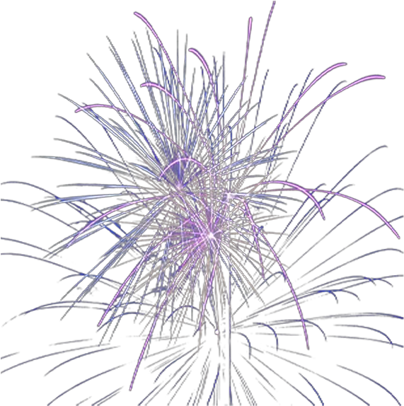 Fireworks Overlay Marine Invertebrates Png Firework Png
