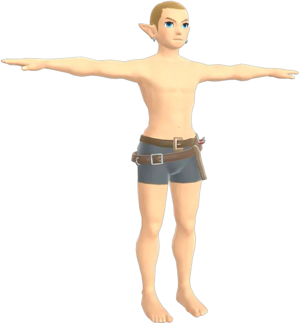 Wii U The Legend Of Zelda Breath Of The Wild Link The Zelda Breath Of The Wild Link Model Png Breath Of The Wild Logo Transparent