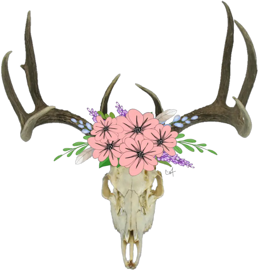 Deer Skull Transparent Background Cartoon Deer Skull With Flowers Png Deer Transparent Background