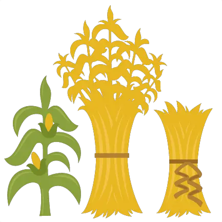 Corn Stalks Svg Cutting Files For Scrapbooking Fall Cut Fall Corn Stalks Clipart Png Corn Clipart Png