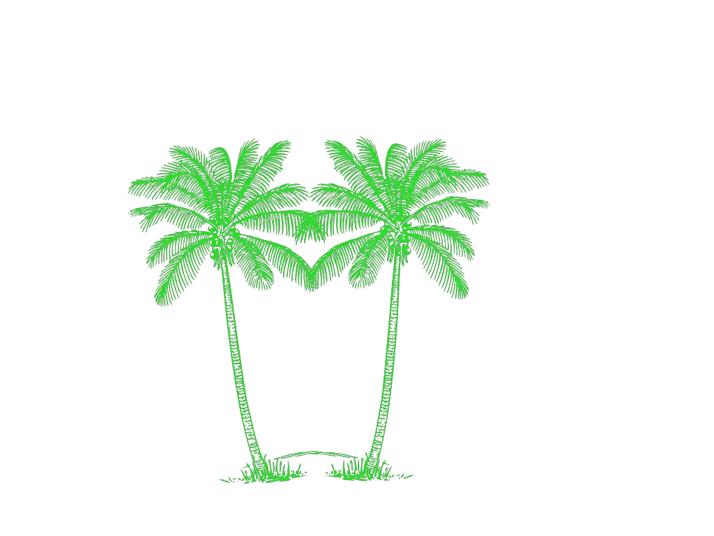 Palm Tree Clipart Double Green Palm Tree Png Transparent Palmtree Png