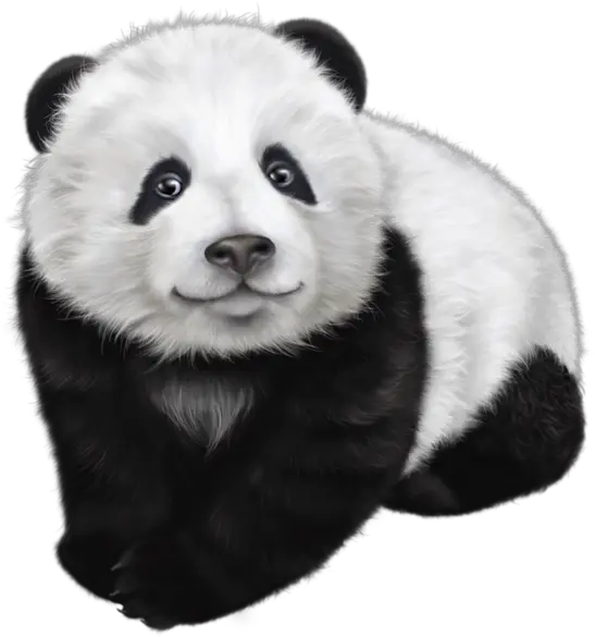 Panda Png Animal Images Bear Black And White Panda Drawing Panda Transparent Background