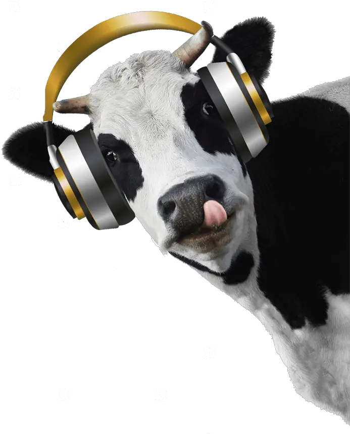 Cow Head Transparent Background Cow Head White Background Png Cow Head Png