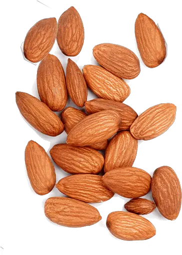 Almonds U2013 Royalnutscoin Fresh Png Almond Png