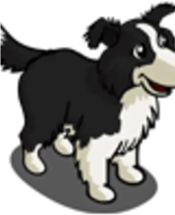 Border Collie Cartoon Png Border Collie Png