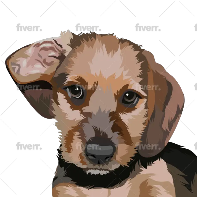 Make Vector Illustration Dog Cat Animal Pet Cartoon Portrait Kromfohrländer Png Puppy Png