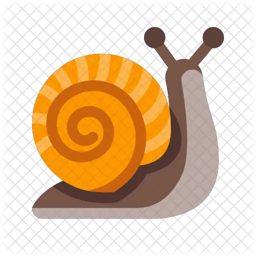 Snail Icon Icon Snail Png Snail Png