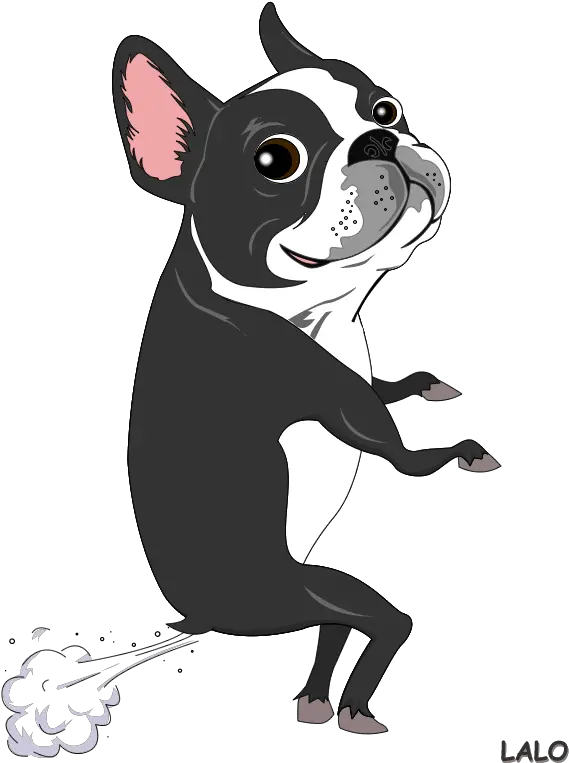 Free Boston Terrier Png Download Boston Terrier Drawing Easy Boston Terrier Png