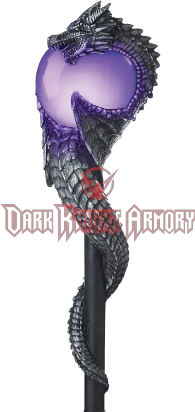 Download Wizard Dragon Orb Costume Wizard Staff With Light Png Wizard Staff Png