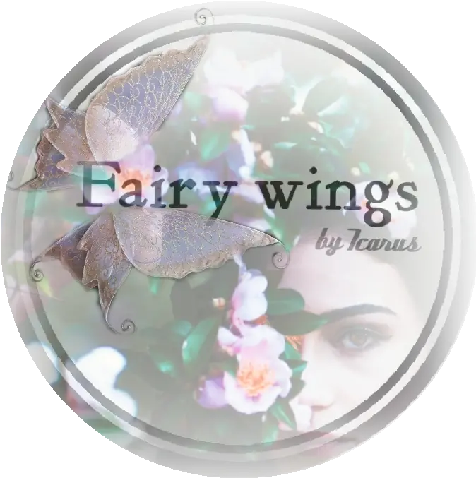 Adult Fairy Wings Archives Icarus Fairy Wings Eye Shadow Png Fairy Wings Png