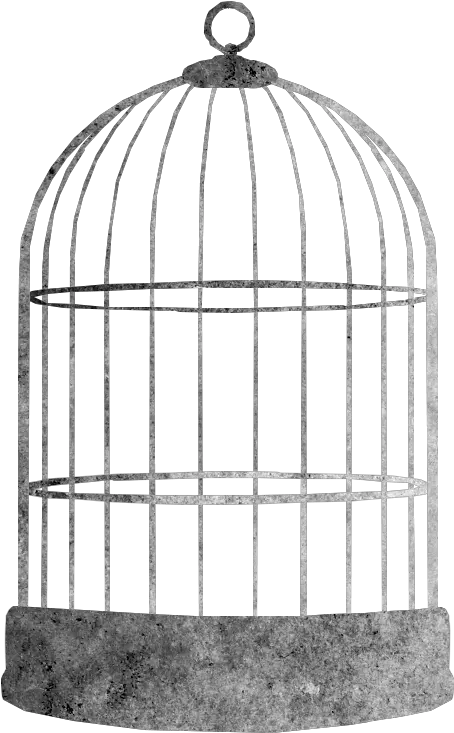 Bird Cage Bird Cage Png Clipart Bird Cage Png