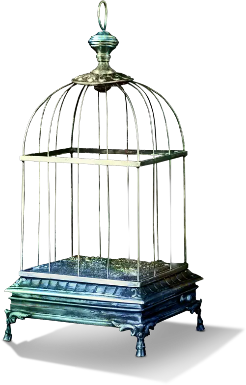 Download Tubes Bird Cage Png Image Cage À Oiseaux Png Bird Cage Png