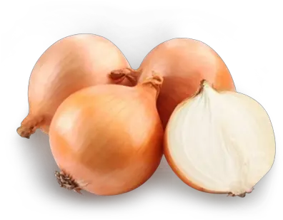 Onion Png Images Free Download Transparent Background Onion Onion Png