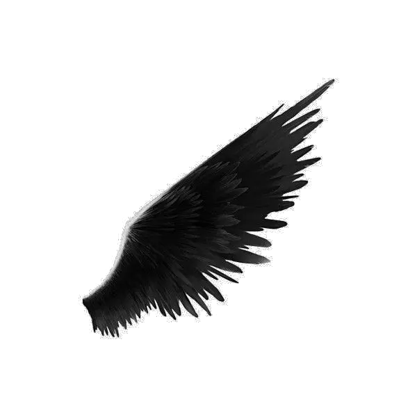 Black Wings Png Transparent Image Side View Angel Wing Png Wing Png
